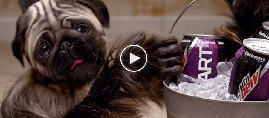 PulseMarketing-PuppyMonkeyBaby-Viral-Ad.jpg